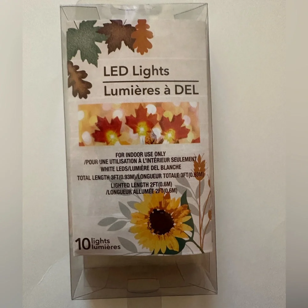 Autumn Leaf LED String Lights NWT